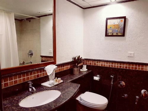 Hotel Punjab Palace image 19